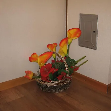 Adelita Apartman