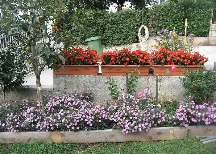 Adelita Апартаменти *