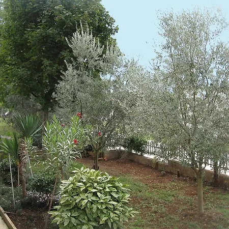 Apartmán Adelita Poreč