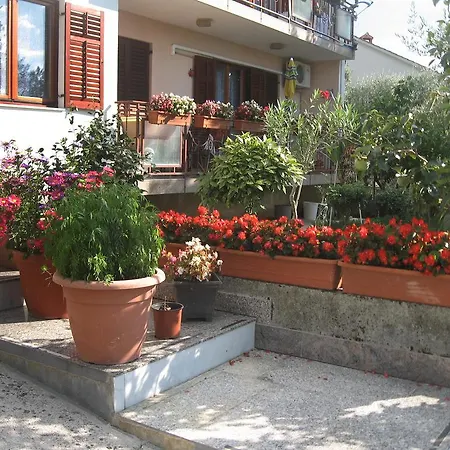Apartamento Adelita *