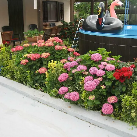 Adelita Πόρετς