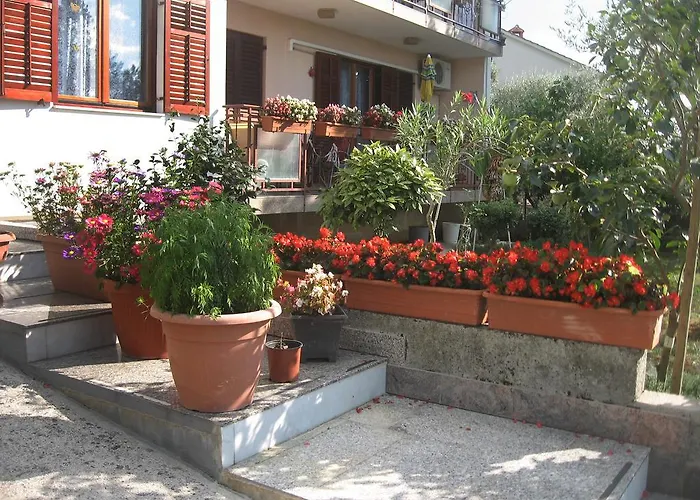 Apartament Adelita *