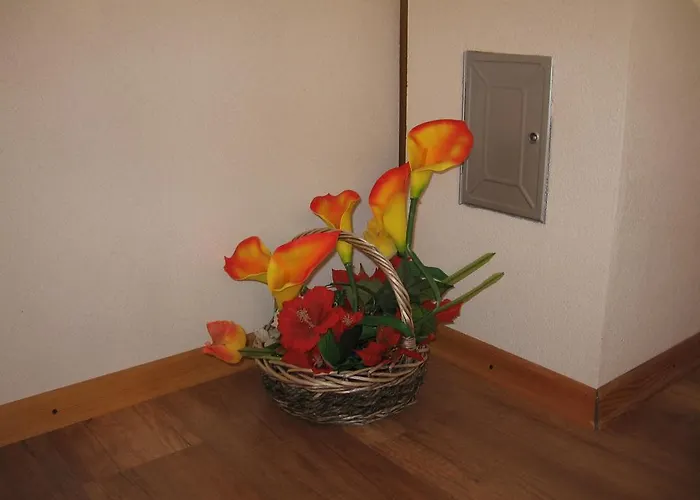 Adelita Apartament