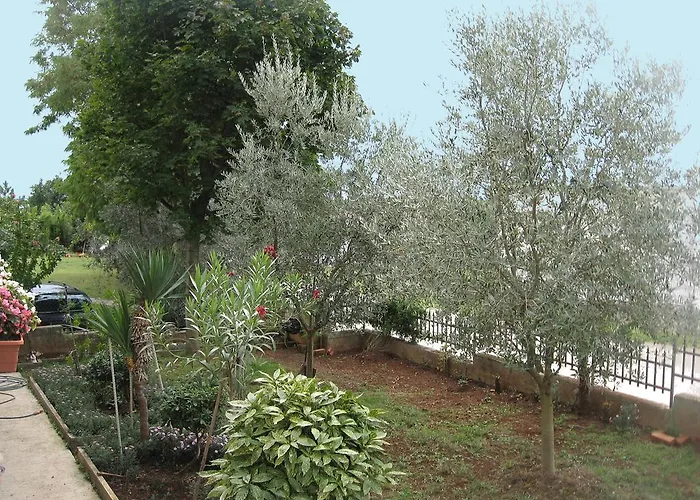 Apartamento Adelita Poreč